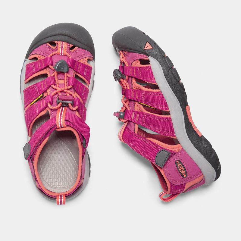 Sandalias Keen Newport H2 Para Niños Morados/Coral - Sandalias Keen Mexico (809756-NWR)